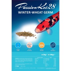 WHEAT GERM