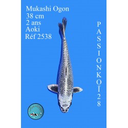 MUKASHI OGON