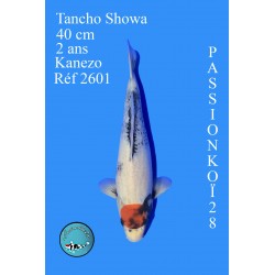 TANCHO SHOWA