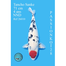 TANCHO SANKE