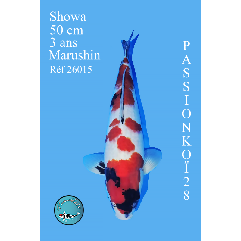 SHOWA