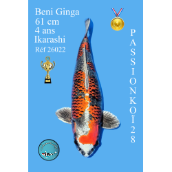 BENI GINGA