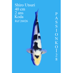 SHIRO UTSURI