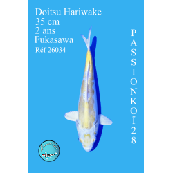 DOITSU HARIWAKE