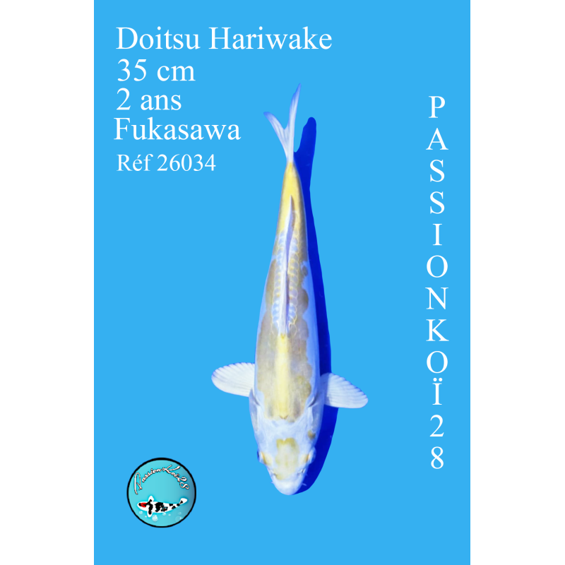 DOITSU HARIWAKE