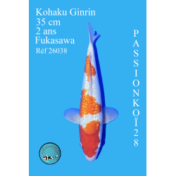 KOHAKU GINRIN