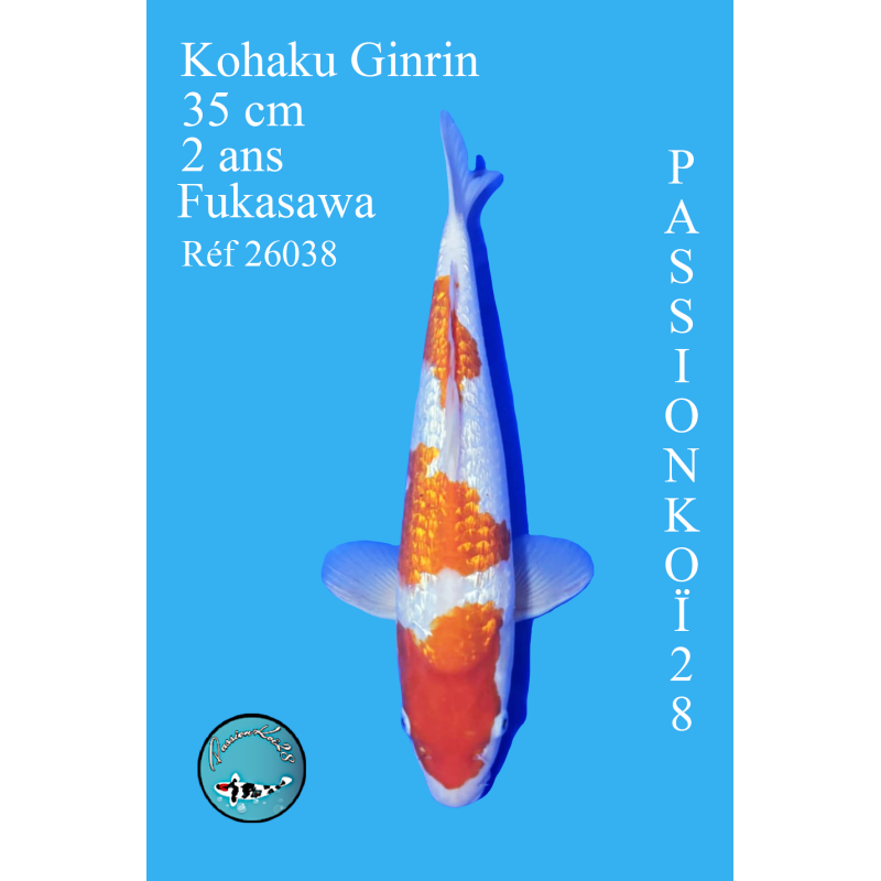 KOHAKU GINRIN