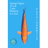 ORENGI OGON