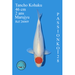 TANCHO KOHAKU  VENDU