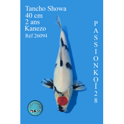 TANCHO SHOWA
