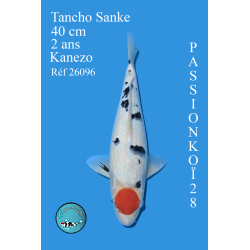 TANCHO SANKE