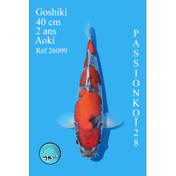 GOSHIKI