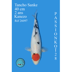 TANCHO SANKE