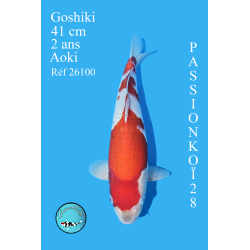 GOSHIKI