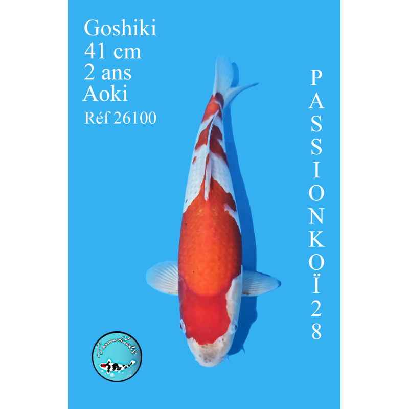 GOSHIKI