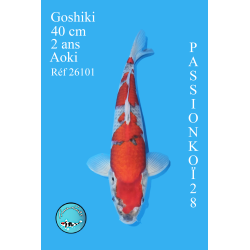 GOSHIKI