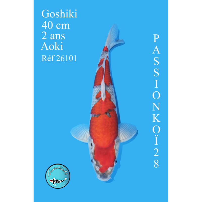 GOSHIKI