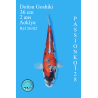 DOITSU GOSHIKI