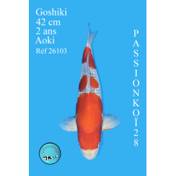 GOSHIKI