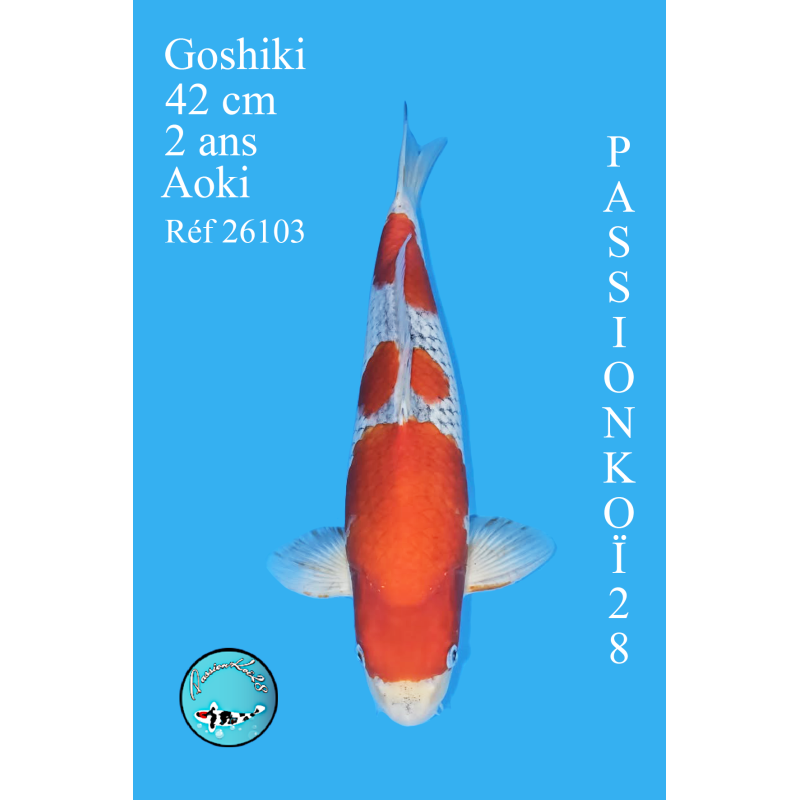 GOSHIKI