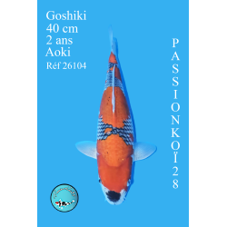 GOSHIKI