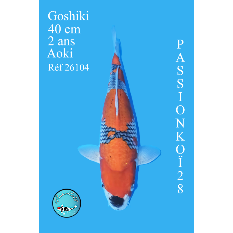 GOSHIKI