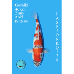 GOSHIKI