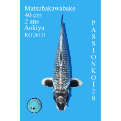 MATSUBAKAWABAKE