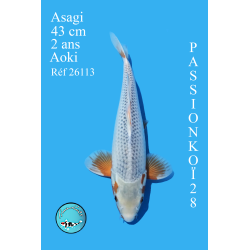 ASAGI