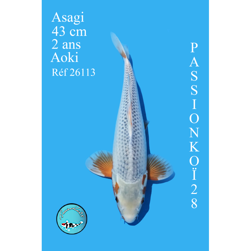 ASAGI