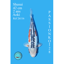 SHUSUI