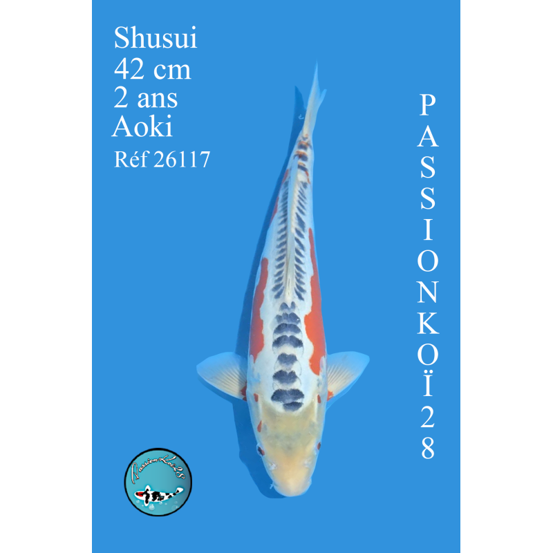 SHUSUI