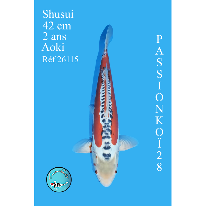 SHUSUI
