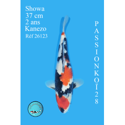 SHOWA