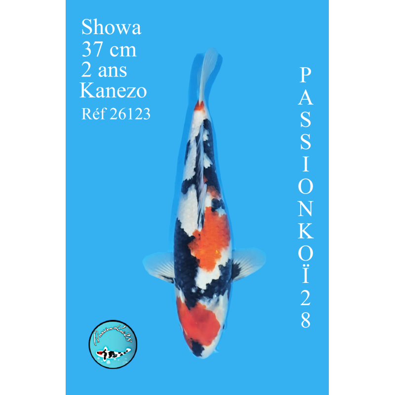 SHOWA